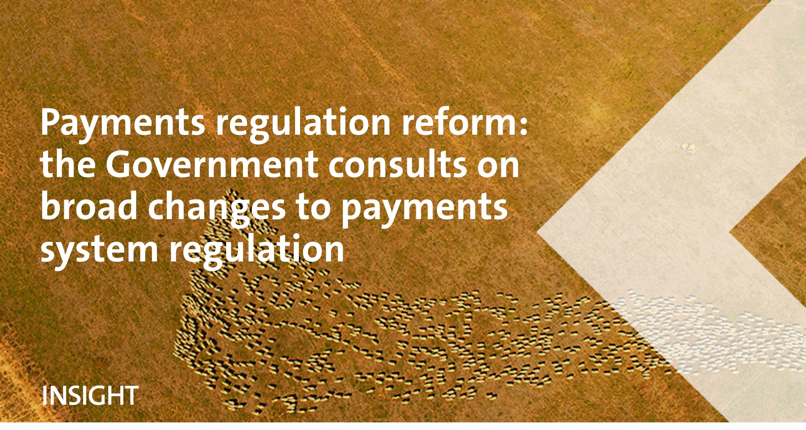 Regulation Eform Payments regulation reform: the Government consults on broad changes