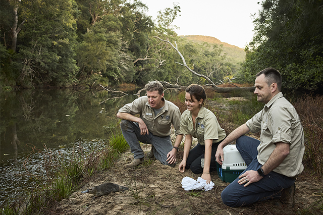 © WWF-Aus / R Freeman